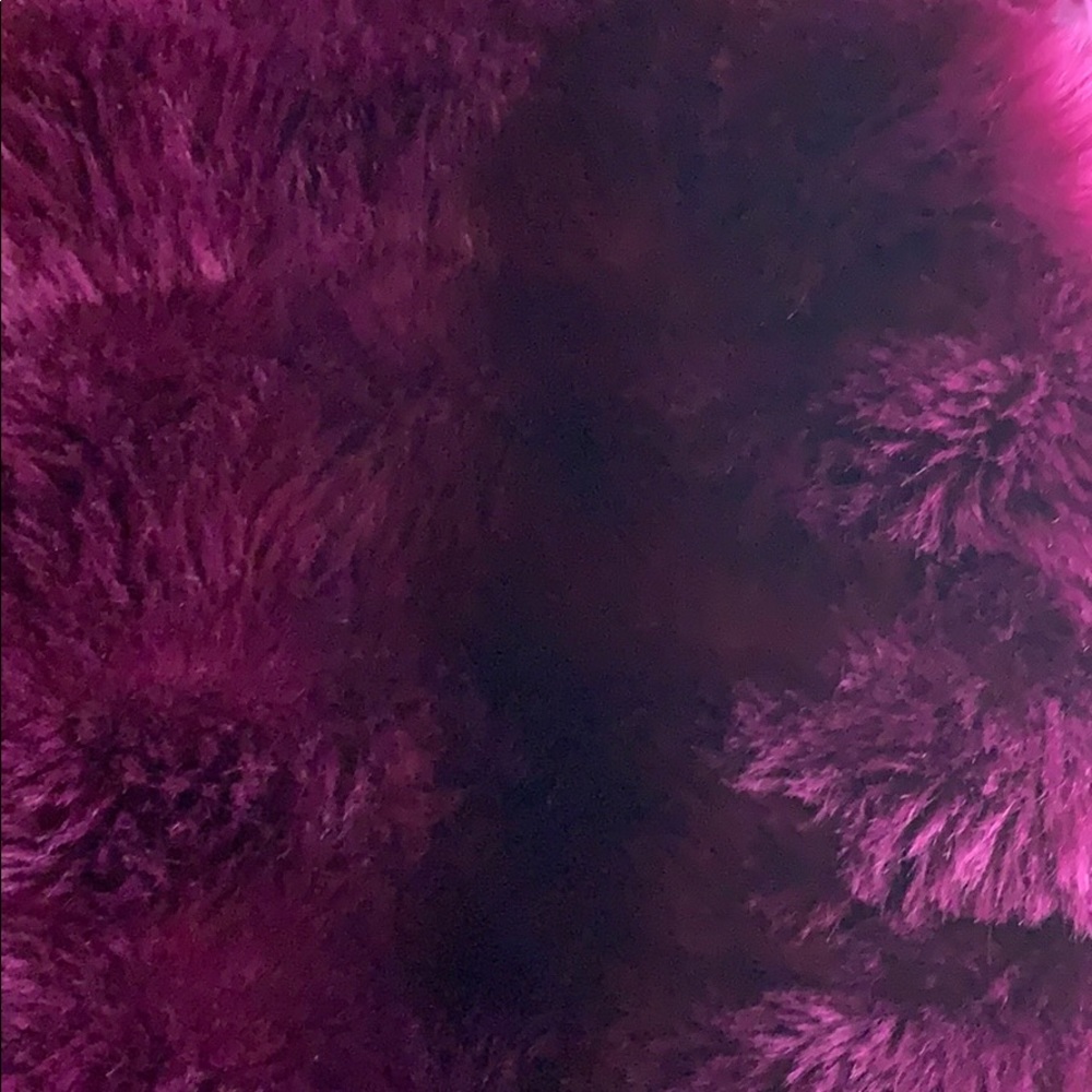 Fur VEST - Picture 4 of 4